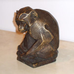 Monkey