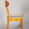 A single Biedermeier chair