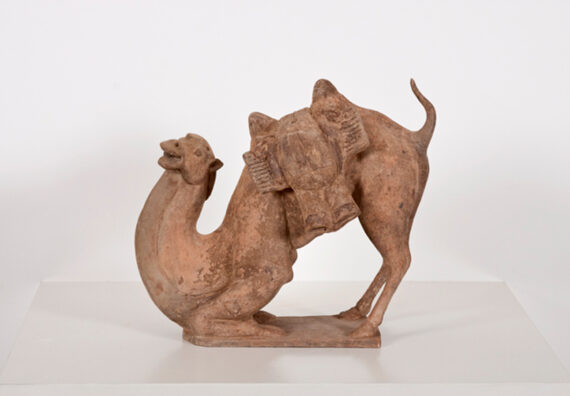 A rare and unusual figure of a Recumbent Camel