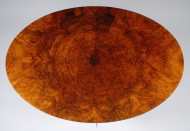 An elegant Biedermeier center hall table 4