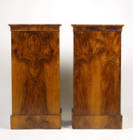 An exceptional pair of Biedermeier pedestal cabinets 2