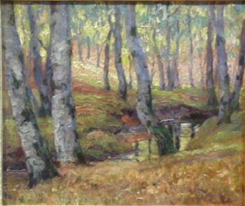 Landscape
