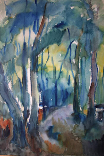 Landscape
