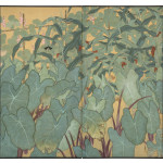 Dragonfly by Lotus and Corn
