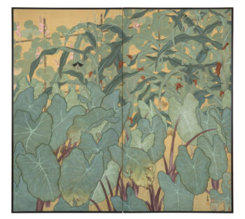 Dragonfly by Lotus and Corn