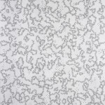 Cellular Automata Series (Scape #4), 2009