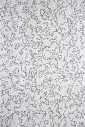 Cellular Automata Series (Scape #4), 2009