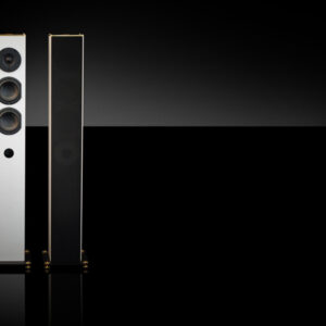 Goldmund Metis Tower Speakers