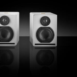 Goldmund Micro Metis Speakers